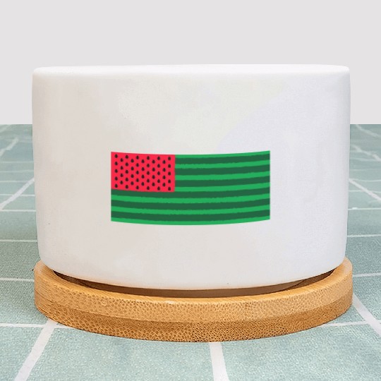Funny Watermelon Flag USA Plant Pots