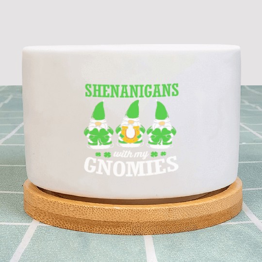 Clover St Patricks Day Shenanigans With My Gnomies Plant Pots