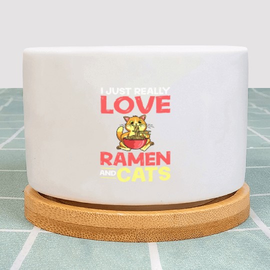Ramen Cat Bowl Chicken Noodle Soup Japanese Plant Pots