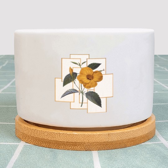 Yellow Hibiscus Flower With Golden Rectangle Plant Pots