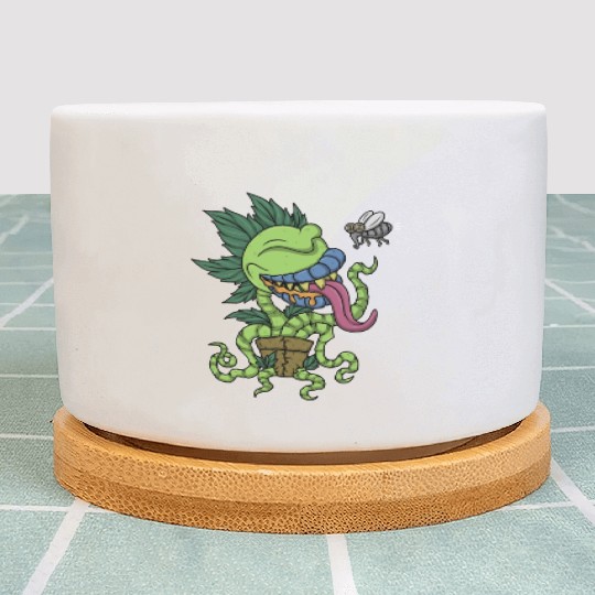 Venus Fly Trap Botanical Monster Plant Carnivorous Plant Pots