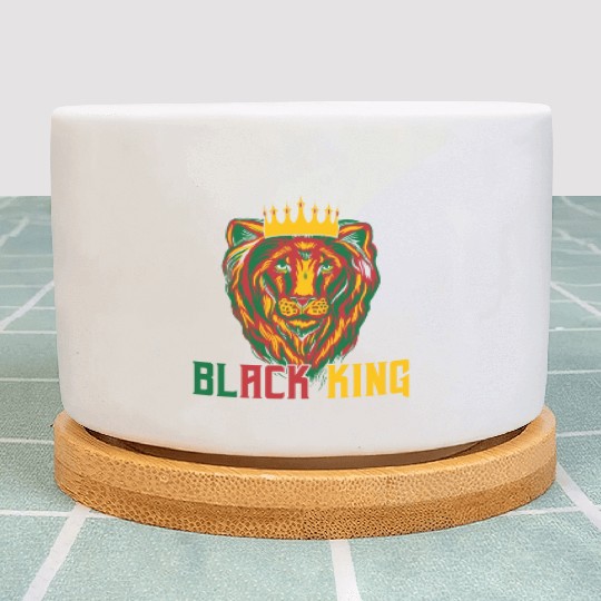African American Lion Plant Pots