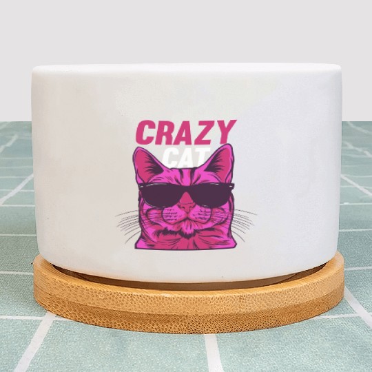 Cat Lover Cat Owner Funny Cat Meme I Crazy Cat Plant Pots