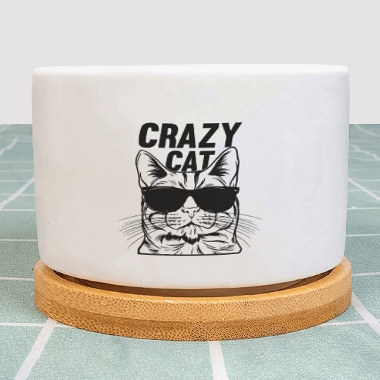 Cat Lover Funny Cat Meme I Crazy Cat Plant Pots