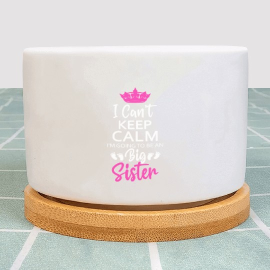 I Can't Keep Calm I'm Going To Be An A Big Sister Plant Pots