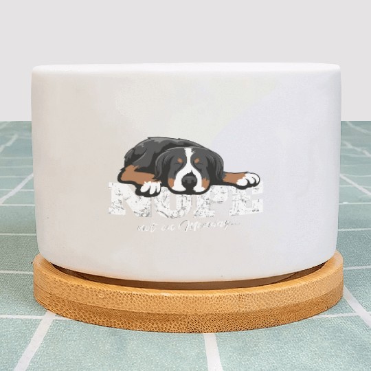 Bernese Mountain Dog Idea Plant Pots