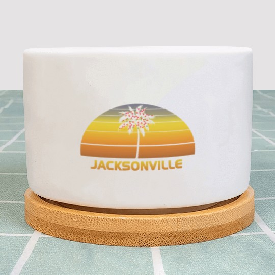 Jacksonville Florida Palm Tree Christmas Lights Plant Pots