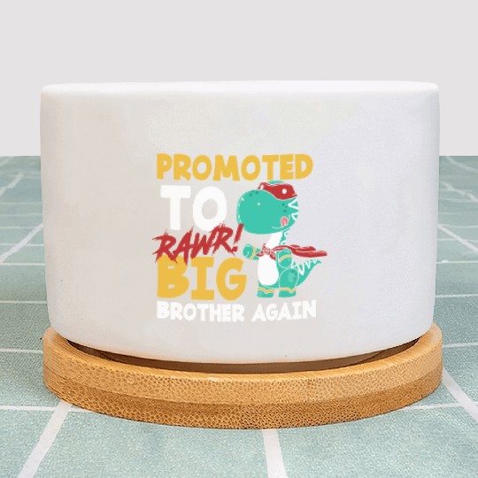 Dinosaur Brother Pregnant Superhero Plant Pots