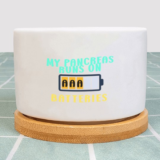 My Pancreas Runs On AAA Batteries Funny Diabetics Plant Pots