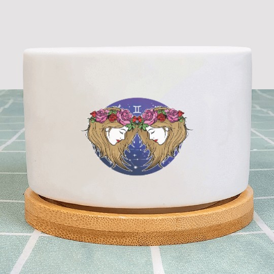 Gemini Zodiac Sign Illustration Art Plant Pots