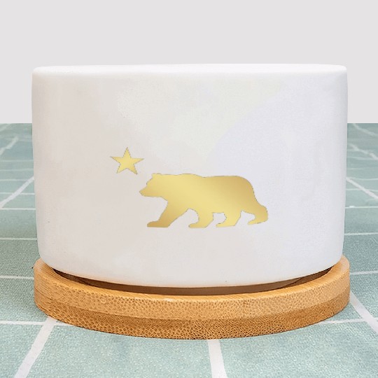 California Bear Plant Pots
