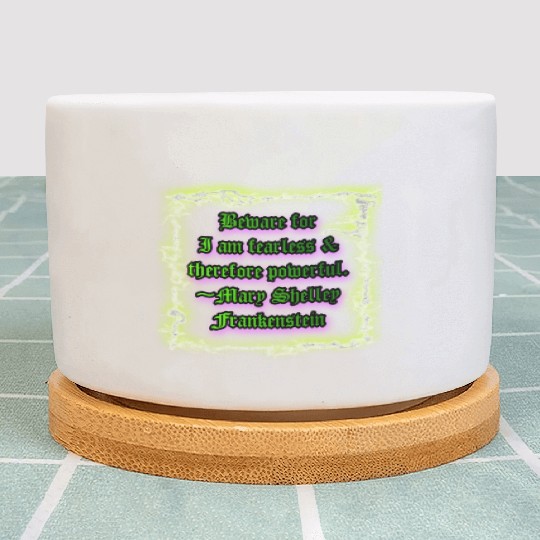 Beware for I am fearless and therefore powerful. Plant Pots