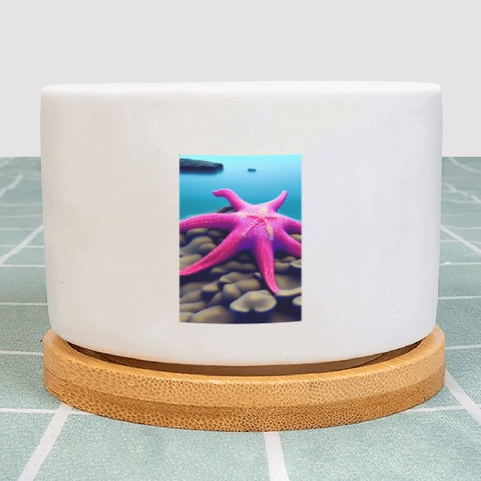 Pink starfish Plant Pots