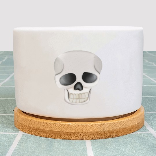 Happy Halloween Skull Plant Pots