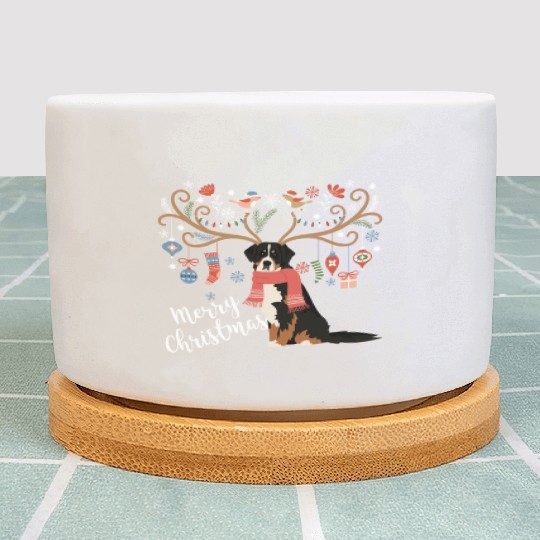 Bernese Mountain Dog Christmas Plant Pots