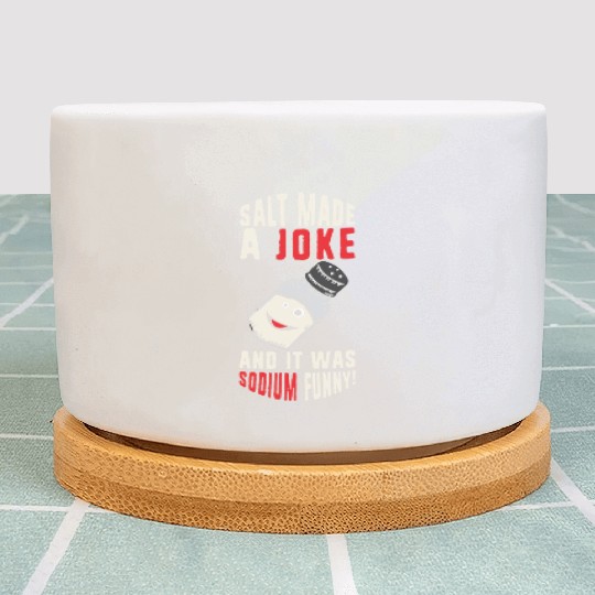 Salt Made A Joke Science Teacher Chemistry Joke Plant Pots