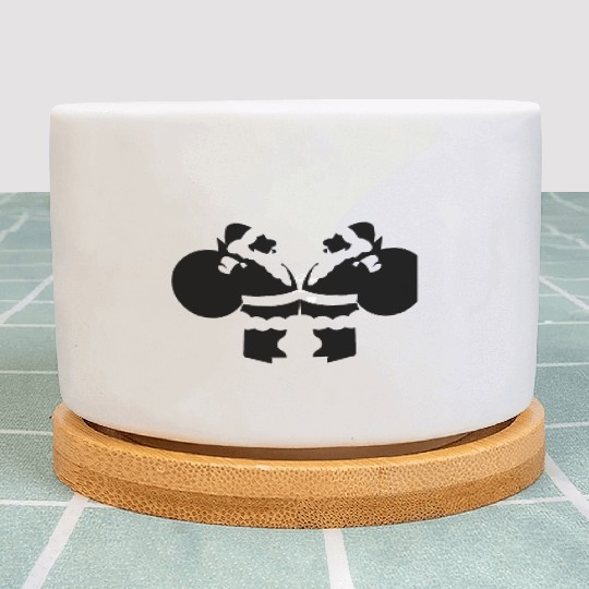 santa claus Plant Pots