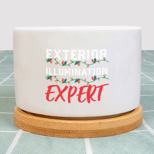 Funny Christmas Light Exterior Illumination Expert Plant Pots