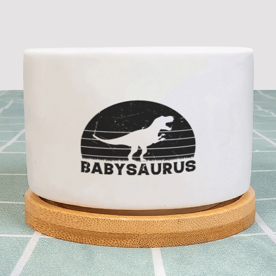 Babysaurus Newborn Baby Dino Baby Dinosaur Plant Pots