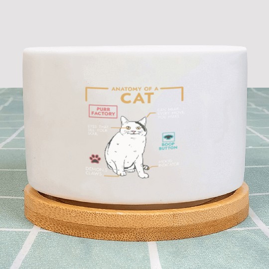 Funny Weird Cat Meme Smiling, Anatomy of A Cat Plant Pots