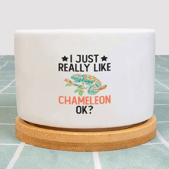 I Just Really Like Chameleon Lizard Reptile Pet Plant Pots