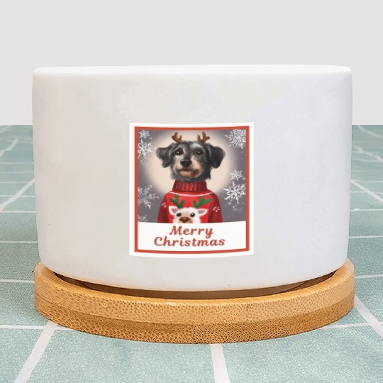 Miniature Black Schnauzer in a Christmas sweater. Plant Pots