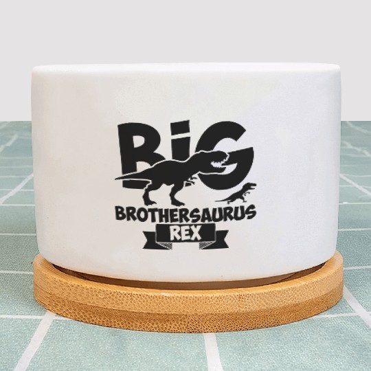 Big Brother Rex Dinosaur Brothersaurus Rex Tyranno Plant Pots
