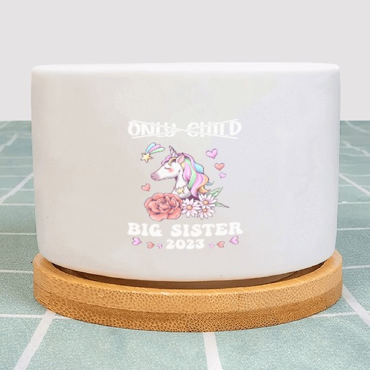 Only Child Expires 2023 Promoted to Big Sister Plant Pots