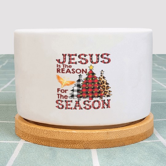 JESUS IS THE REASON FOR THE SEASON Plant Pots