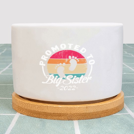 Promoted To Big Sister 2022 Retro Vintage Plant Pots