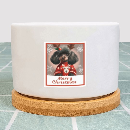 Cute doggy (black miniature poodle) in a festive Plant Pots