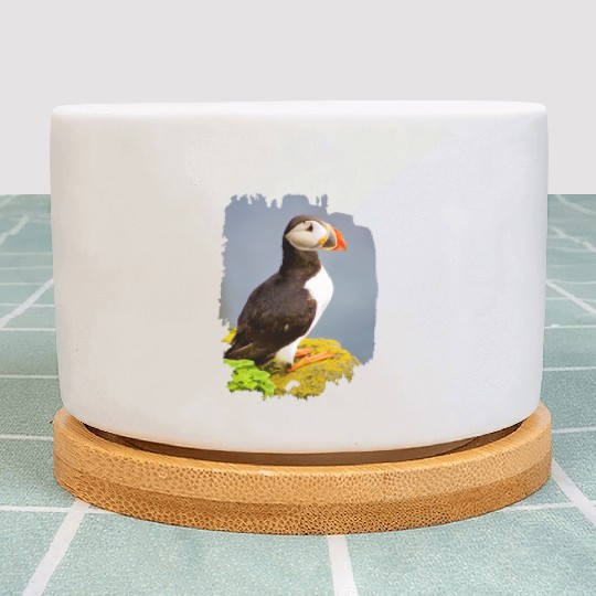 Atlantic Puffin Plant Pots