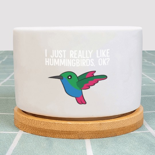 Hummingbird Lover Birding I Just Really Like Plant Pots