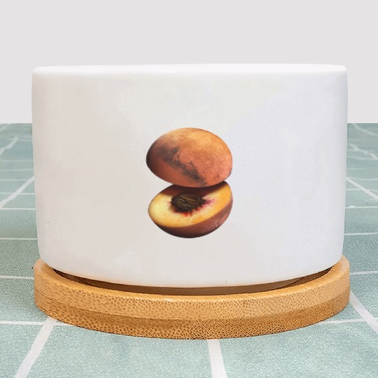 Funny Peach Mars Planet Plant Pots