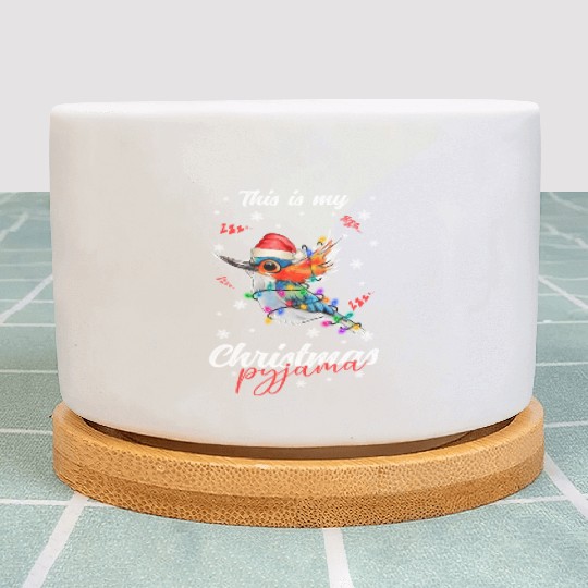 Winter Christmas Pyjama Hummingbird Plant Pots