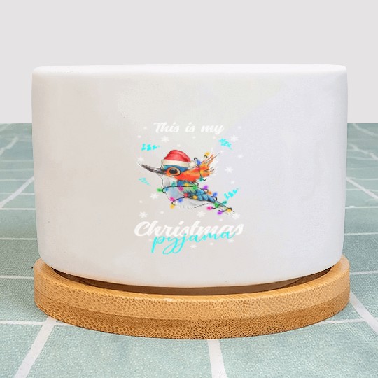 Winter Christmas Pyjama Hummingbird Plant Pots