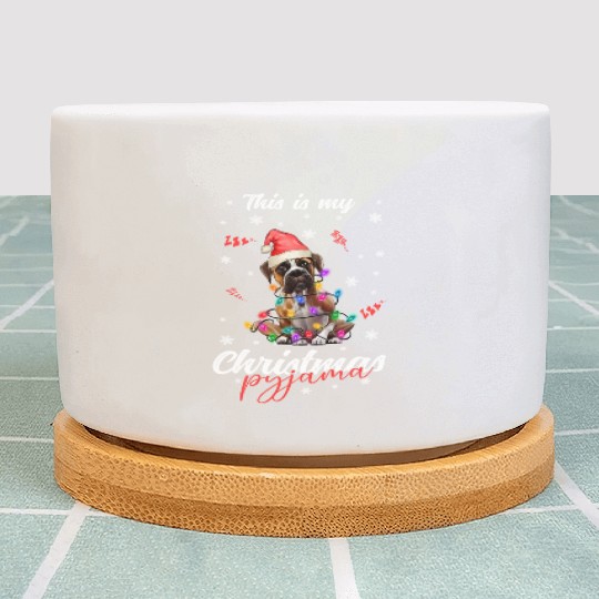 Winter Christmas Pyjama Boxer Plant Pots