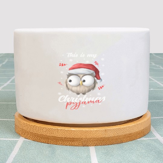 Winter Christmas Pyjama Owl Plant Pots