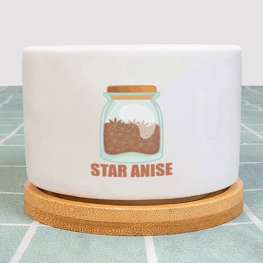Star Anise Spice Flavor Food Cooking Plant Pots
