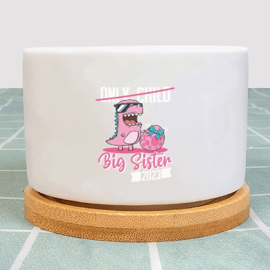 Only Child Big sister 2023 pregnancy baby girls Plant Pots