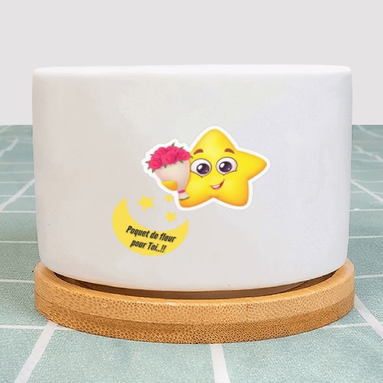 Design d'étoile et lune Plant Pots