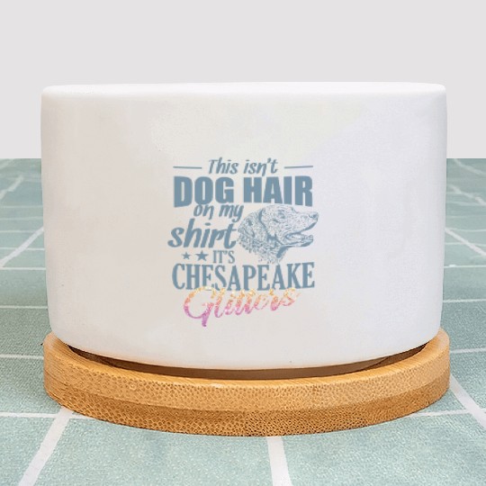This isn't Dog Hair It's Chesapeake Glitters Plant Pots