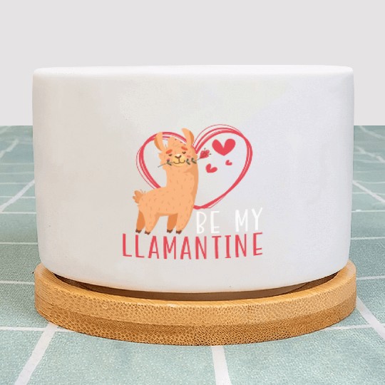 Valentines Day Hearts Day Cupid Love Llama Lover Plant Pots