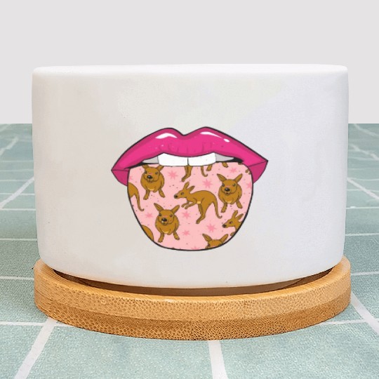 Kangaroo Tongue Plant Pots