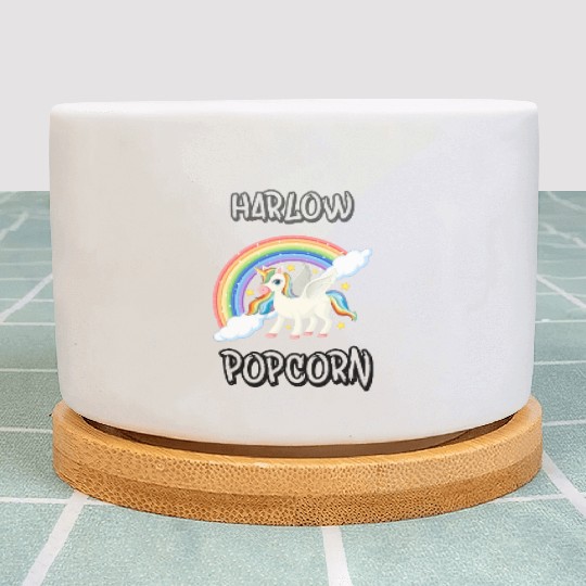 Harlow And Popcorn Merch Popcorn The Pony Plant Pots