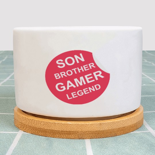 son brother gamer legend Plant Pots