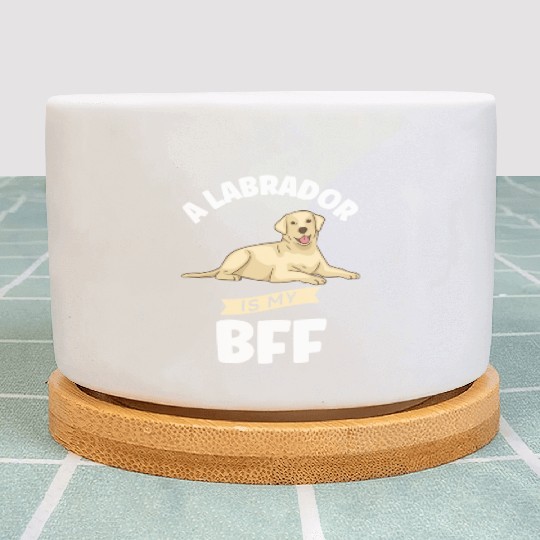 Labrador A Labrador Is My BFF Plant Pots