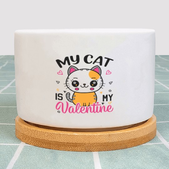 My Cat is my Valentine Valentines Day Plant Pots