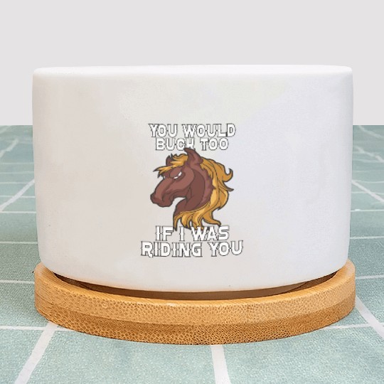 Cowboy Barn Bull Rider Rodeo Country Western Movie Plant Pots