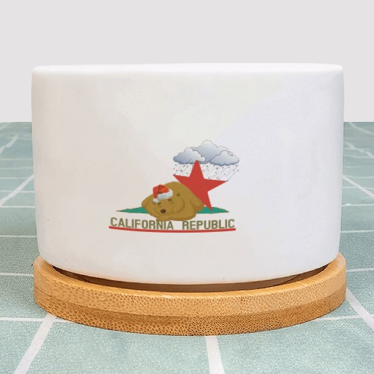 California bear in winter Plant Pots